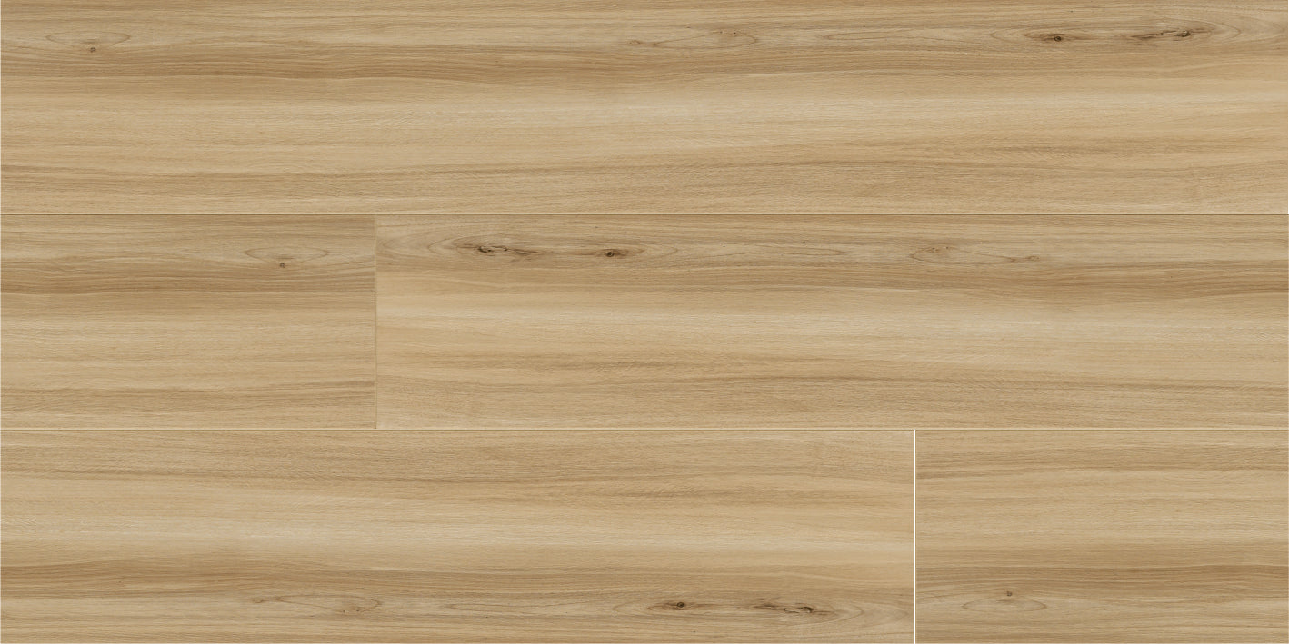 ATELIER JUTA RMV60X120