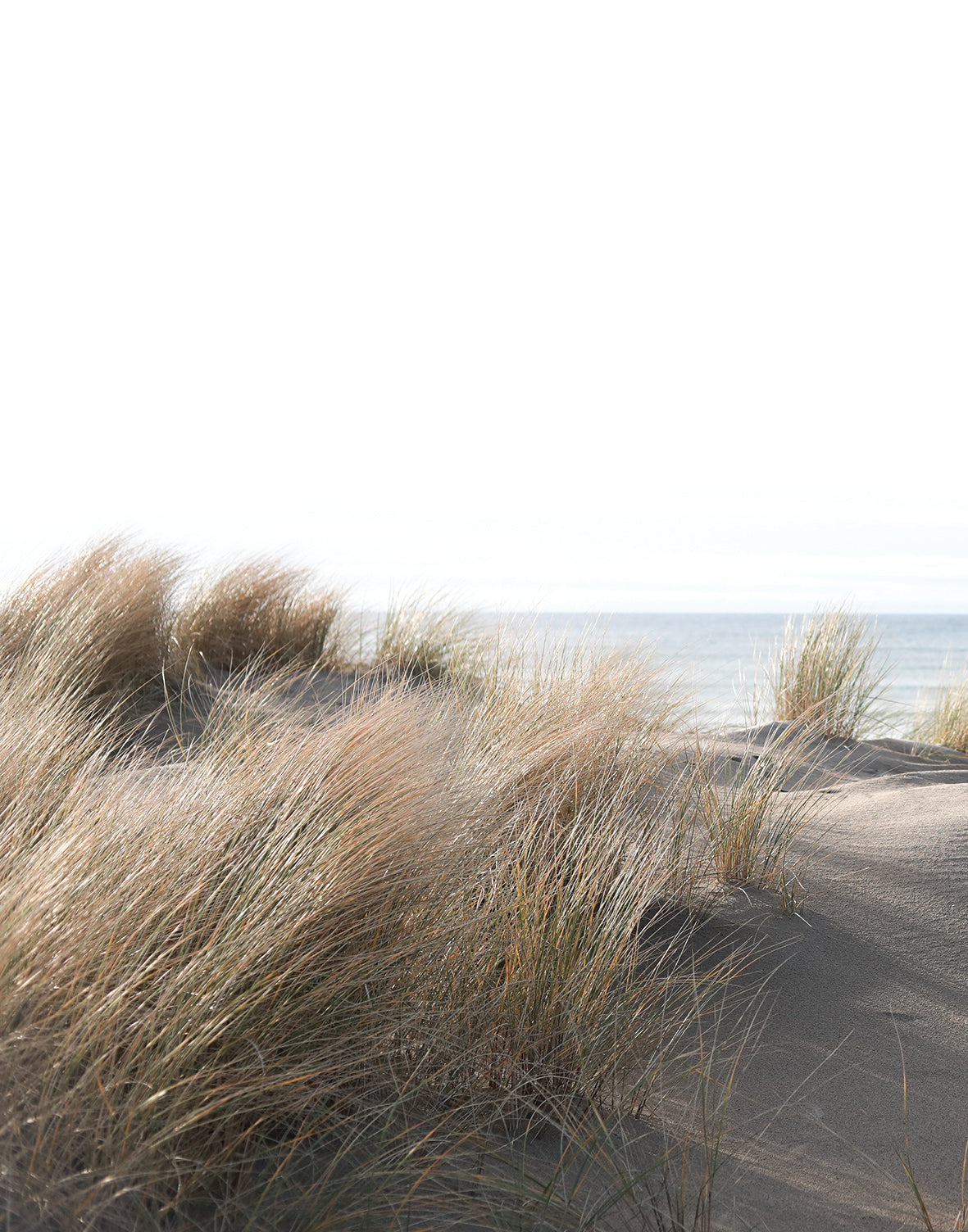 Tapet SMART ART PROFI-47219 / Smart Art Easy