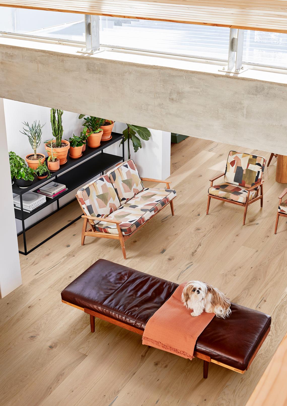 PARCHET Stratificat Stejar : OAK LARUS - New