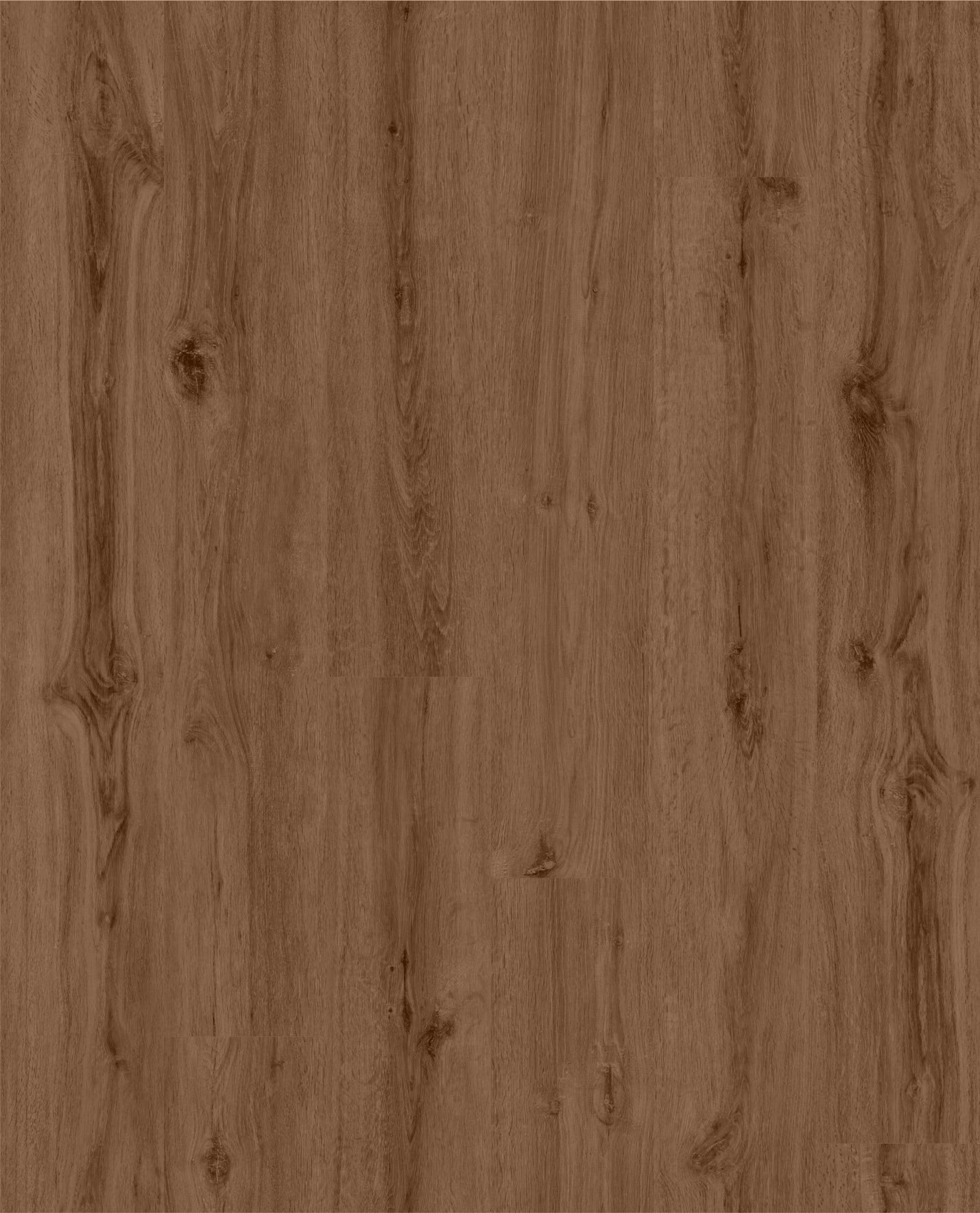 SPC WOOD Portland Oak P1005 RMV120X150