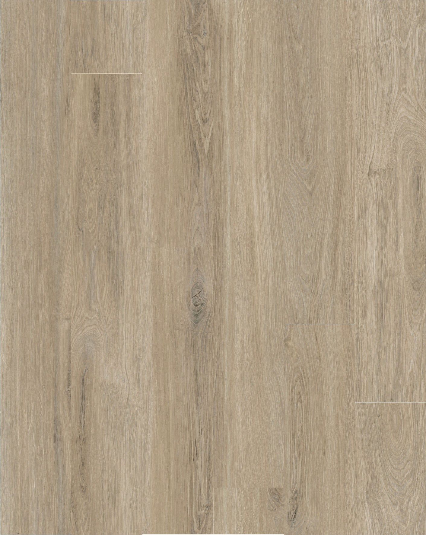 SPC WOOD Tuscon Oak P6001 RMV120X150