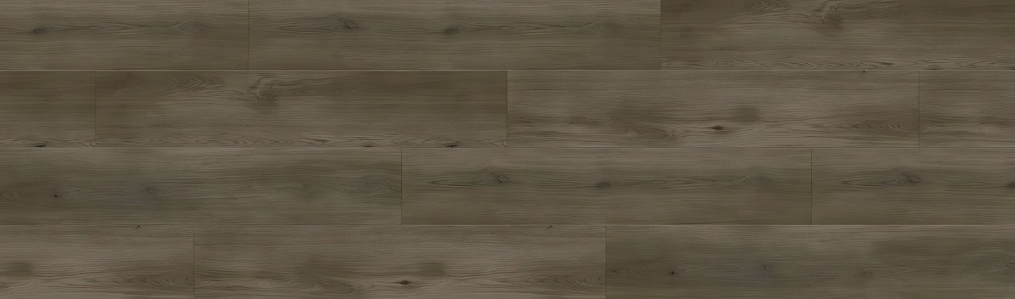 SPC GRIZZLY Bankster RENACG002 RMV90X300