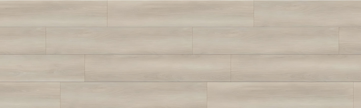 SPC GRIZZLY Swag RENACG003 RMV90X300