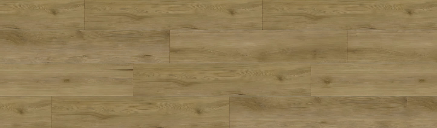 SPC GRIZZLY Epic RENACG004 RMV90X300