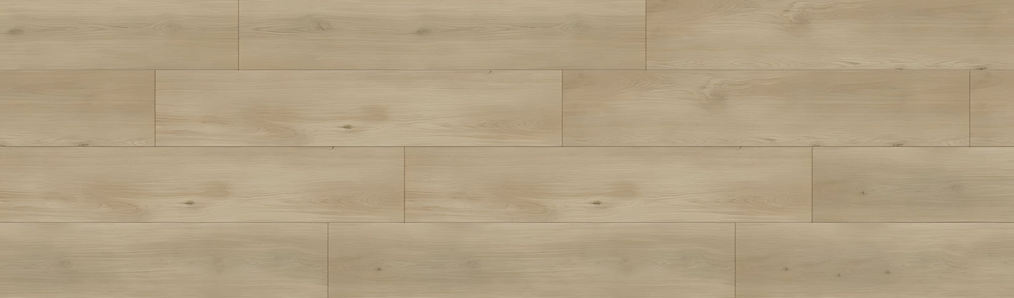 SPC GRIZZLY Babo RENACG005 RMV90X300