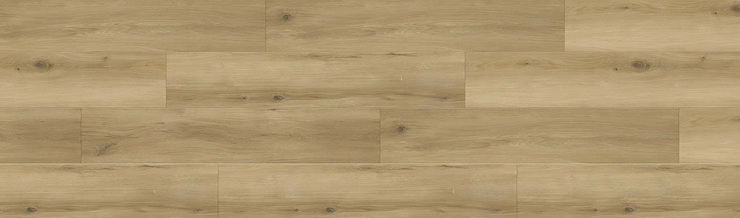 SPC GRIZZLY Lost RENACG007 RMV90X300