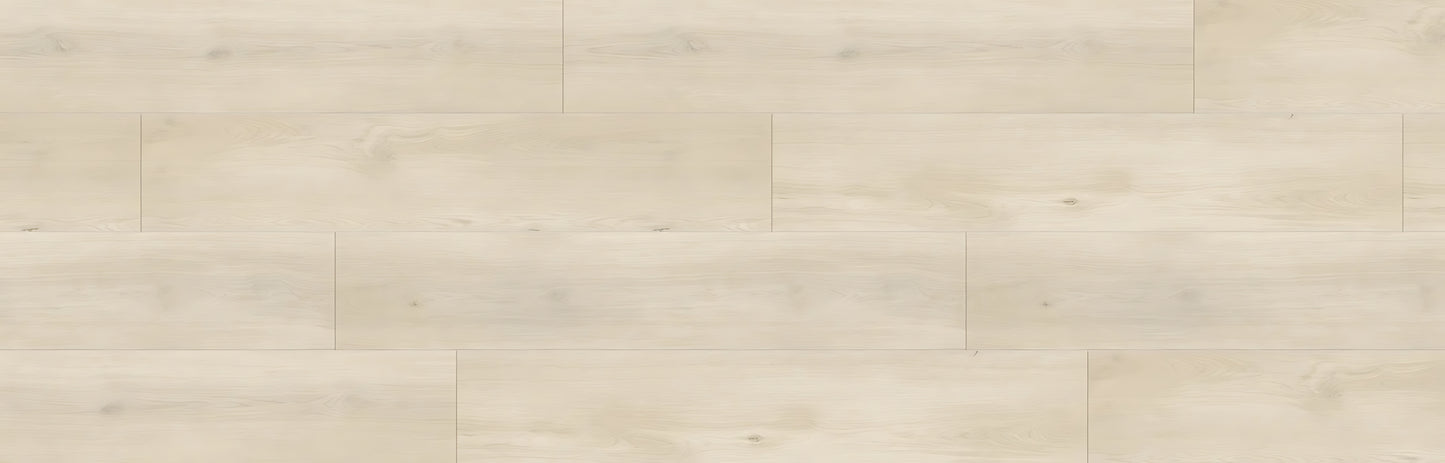 SPC GRIZZLY Smombie RENACG009 RMV90X280