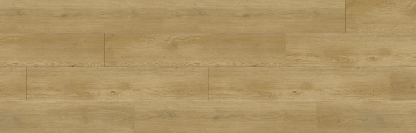 SPC GRIZZLY Wyld RENACG012 RMV90X280