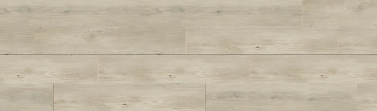 SPC GRIZZLY Sheesh RENACG013 RMV90X300