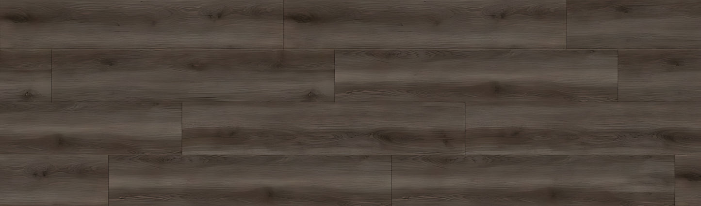 SPC GRIZZLY Buzz RENACG015 RMV90X300