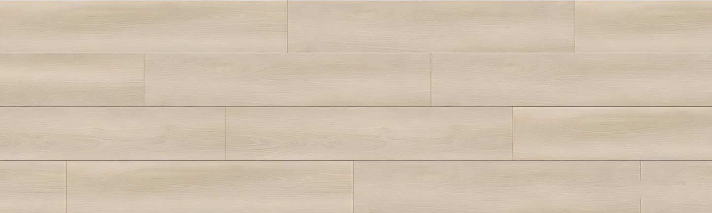 SPC GRIZZLY Bash RENACG001 RMV90X300