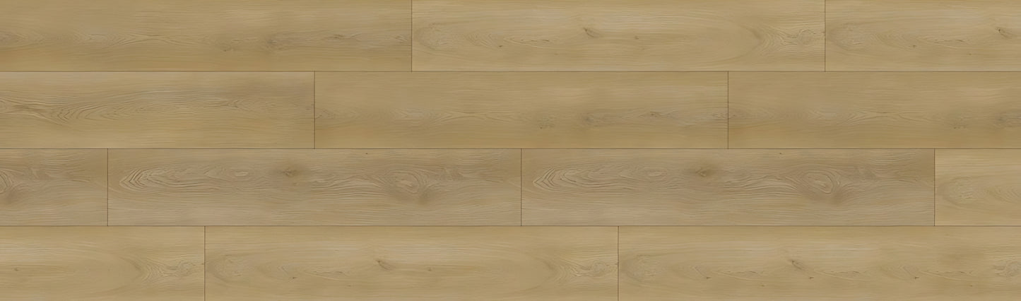 SPC GRIZZLY Fly RENACG010 RMV90X300