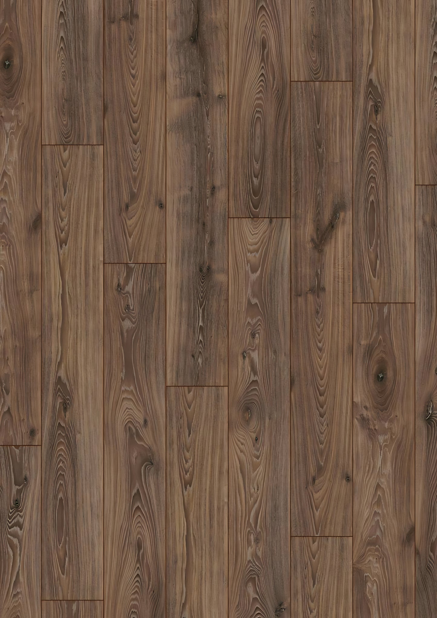 ROBUSTO Timeless Oak D3590 RMV135X185