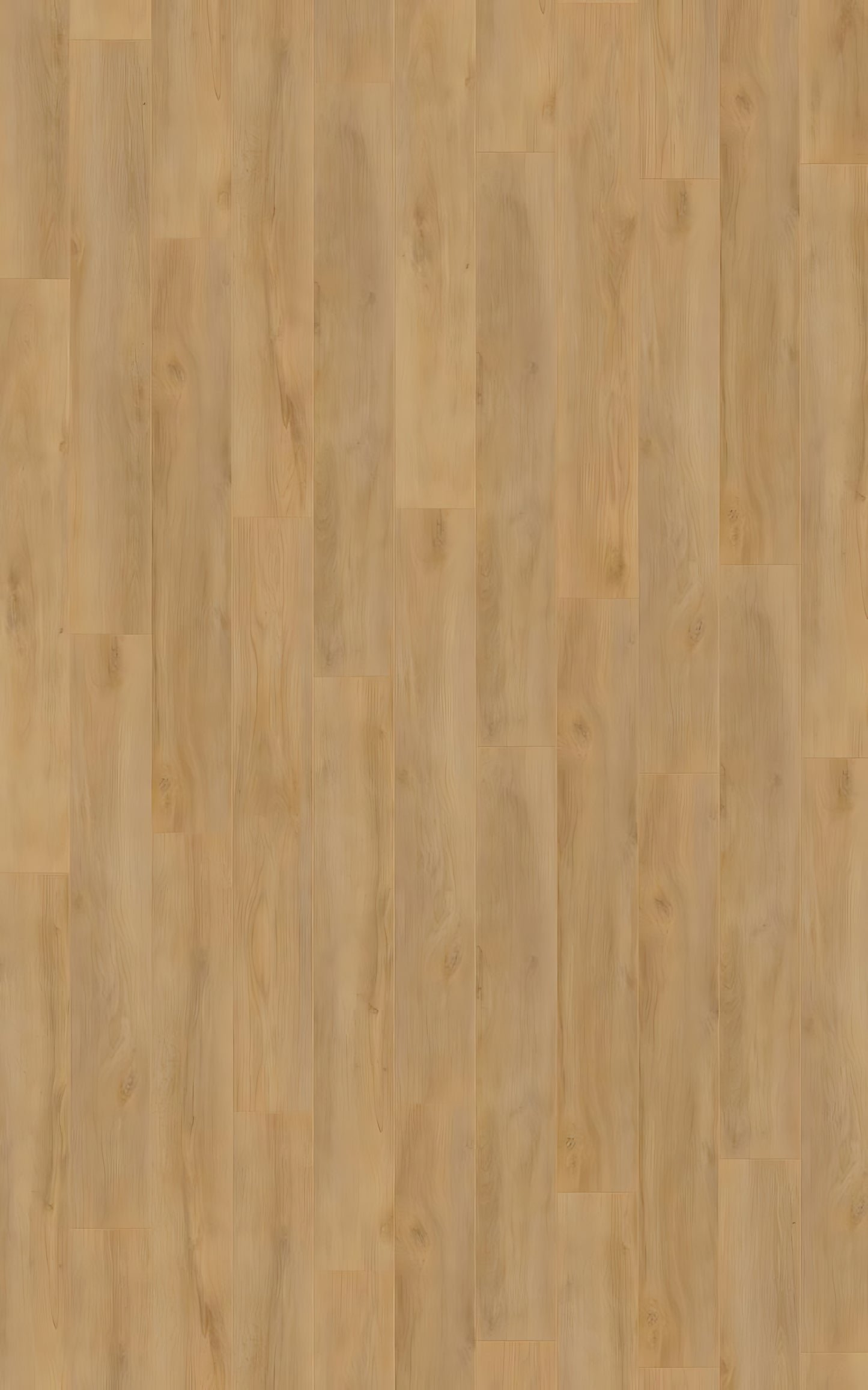 ROBUSTO Premium Oak Nature D4955 RMV200X320