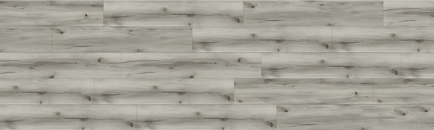 SPC CROCODILE Thug REAUCC001 RMV115X375