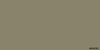 Color Image