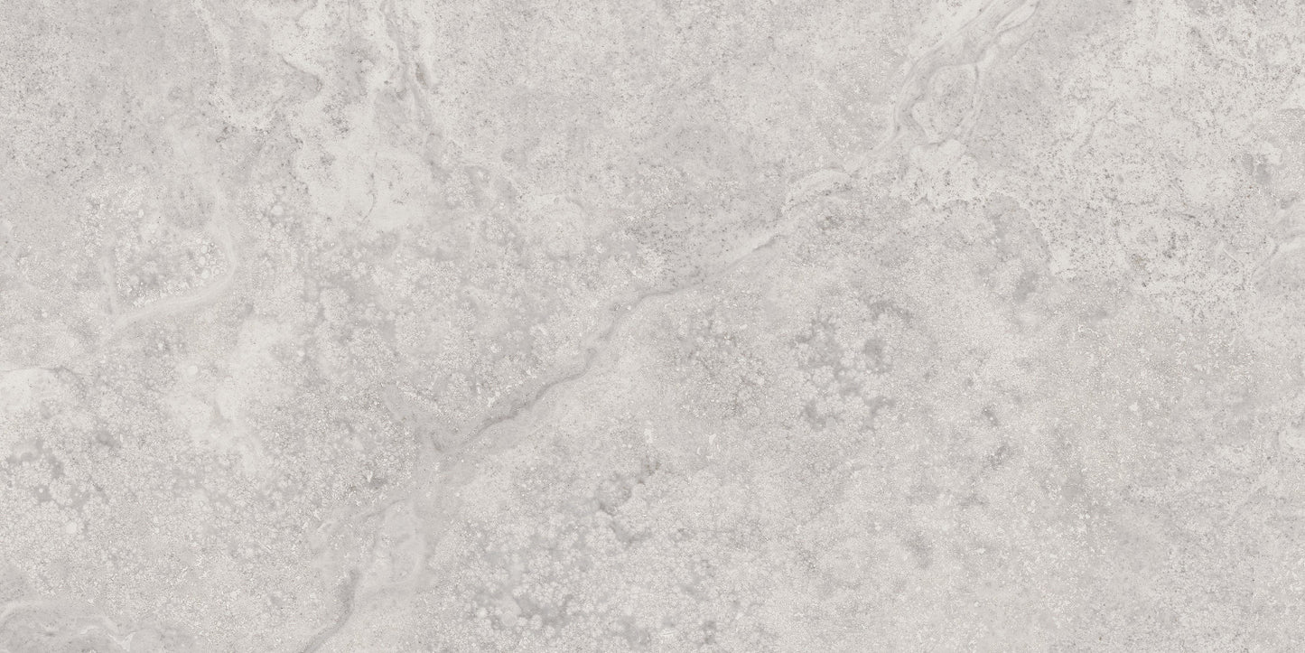 MYTHOLOGY REGIA SILVER 60X120 SEMILUCIOS