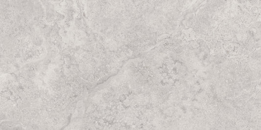 MYTHOLOGY REGIA SILVER 60X120 SEMILUCIOS