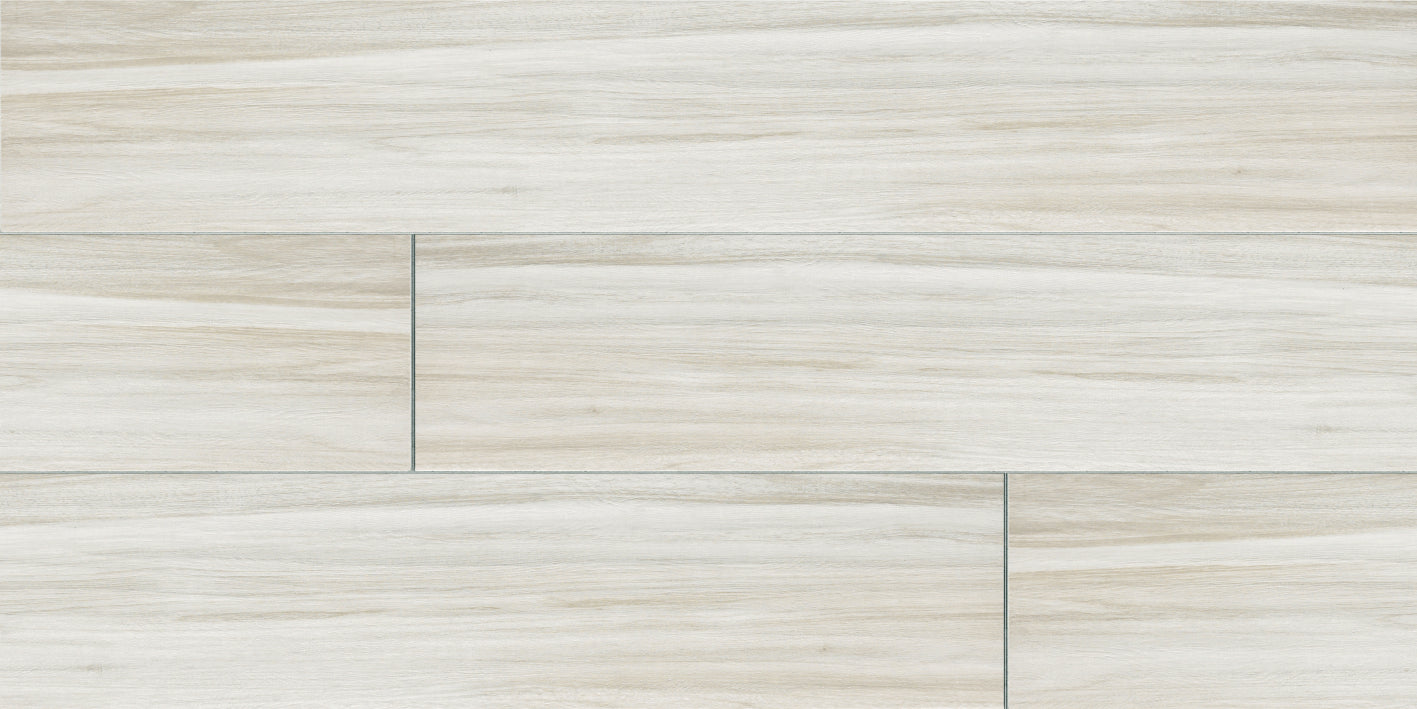 ATELIER GESSO RMV60X120