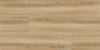 ATELIER JUTA RMV60X120