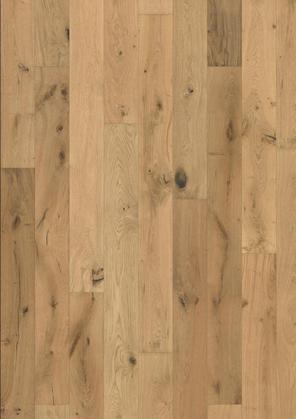 PARCHET Stratificat Stejar : OAK LYNX ULTRA MATT - New
