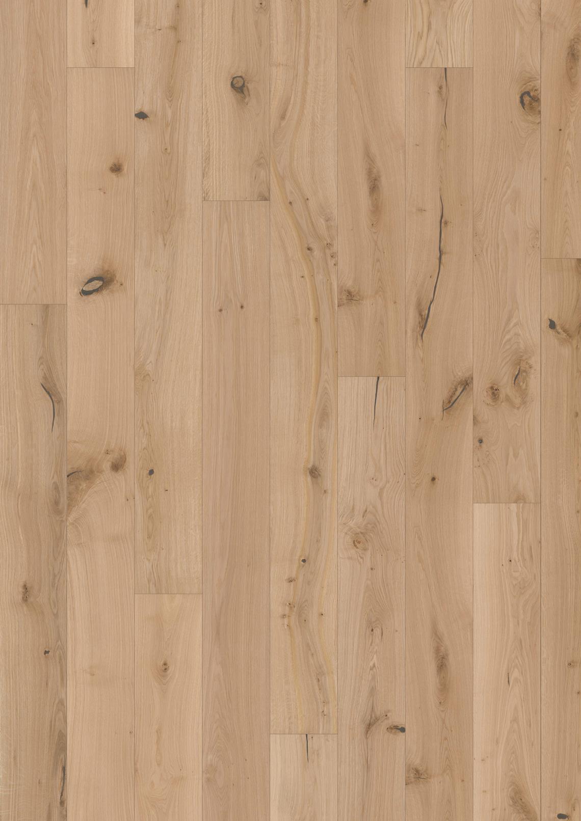 PARCHET Stratificat Stejar : OAK OVIS - New