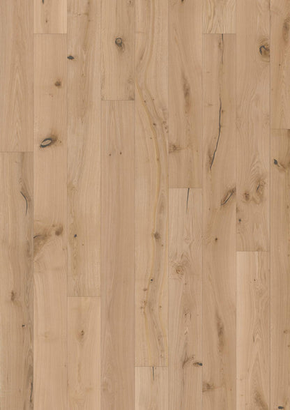 PARCHET Stratificat Stejar : OAK OVIS - New