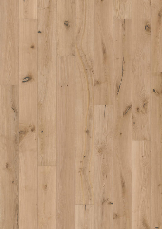PARCHET Stratificat Stejar : OAK OVIS - New