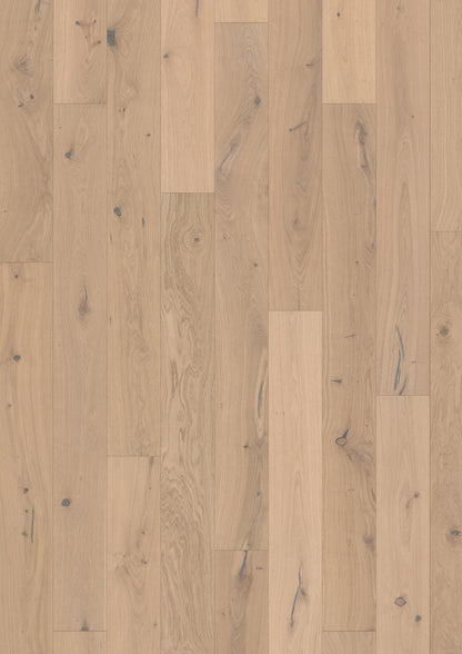 PARCHET Stratificat Stejar : OAK LARUS - New