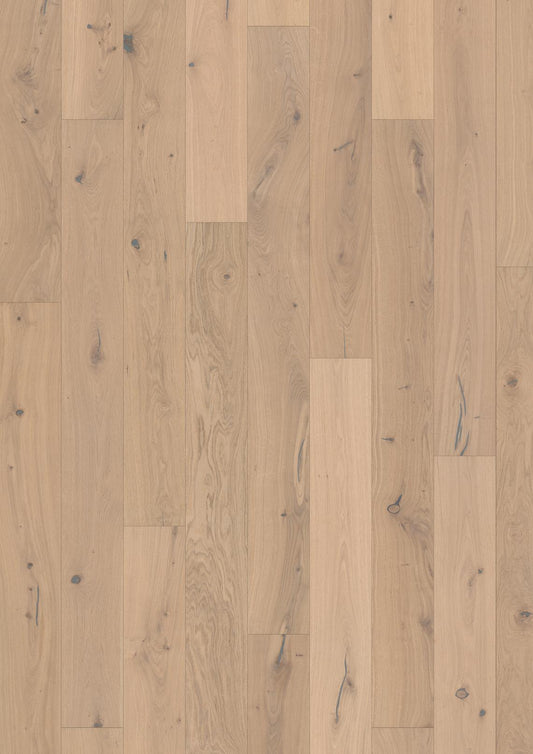 PARCHET Stratificat Stejar : OAK LARUS - New