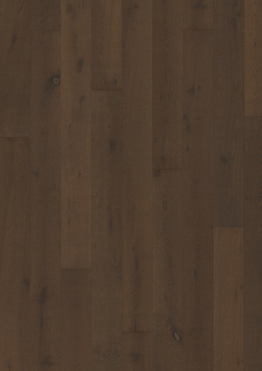 PARCHET Stratificat Stejar : OAK URSUS- New