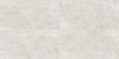 BOLD SILVERY 60X120 RMV120X240