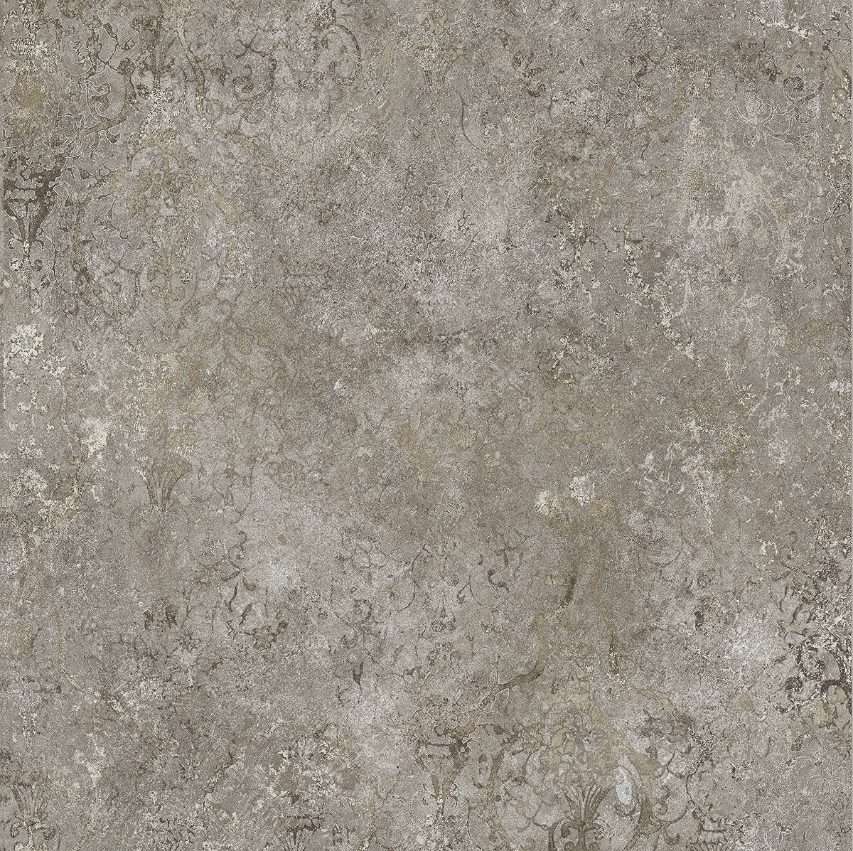 BOLD CONCERT 120X120