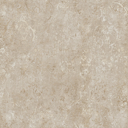 BOLD CONCERT BEIGE 120X120