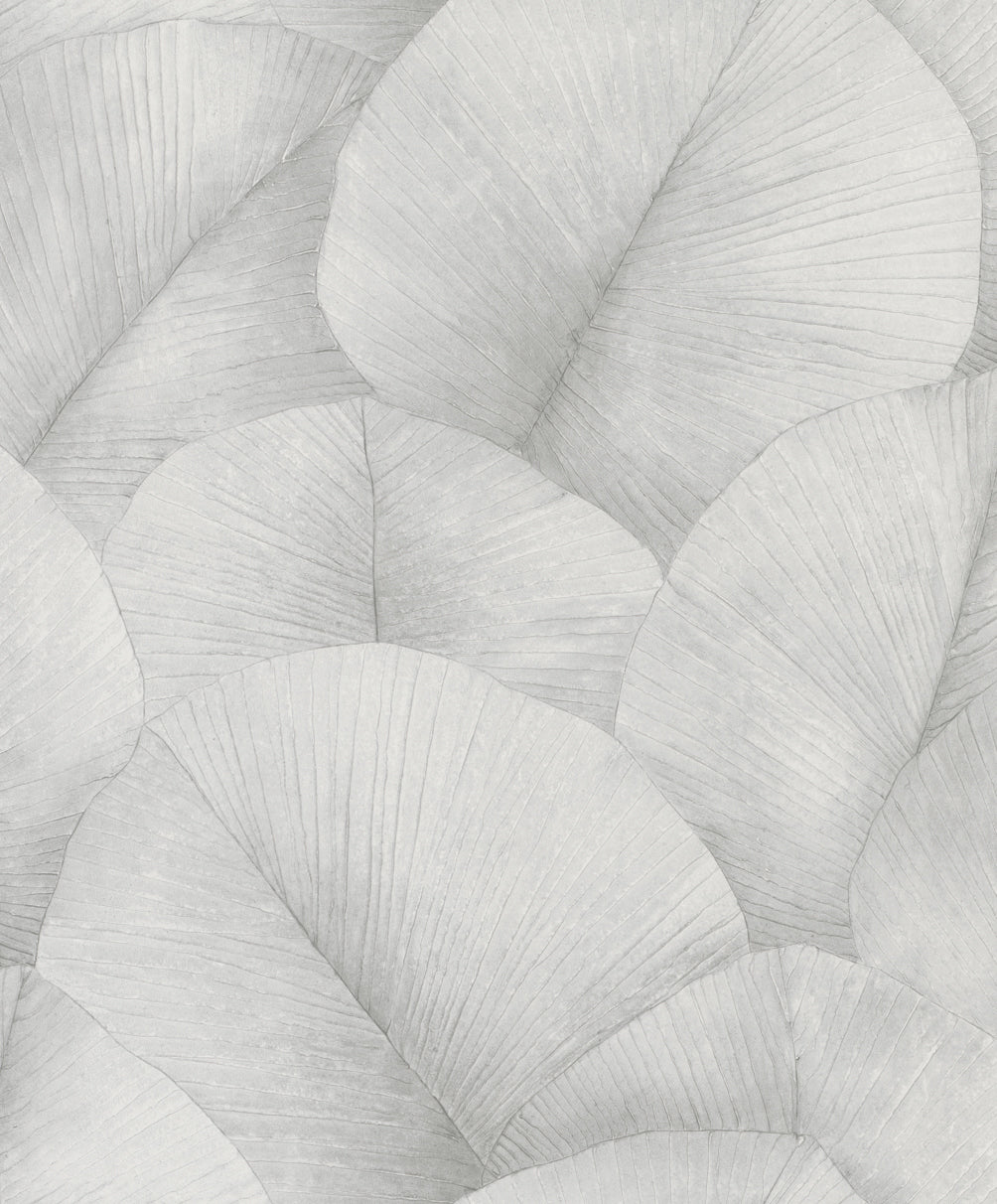 Tapet KUMANO-34509 /  Kumano