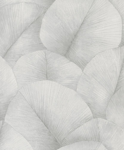 Tapet KUMANO-34509 /  Kumano