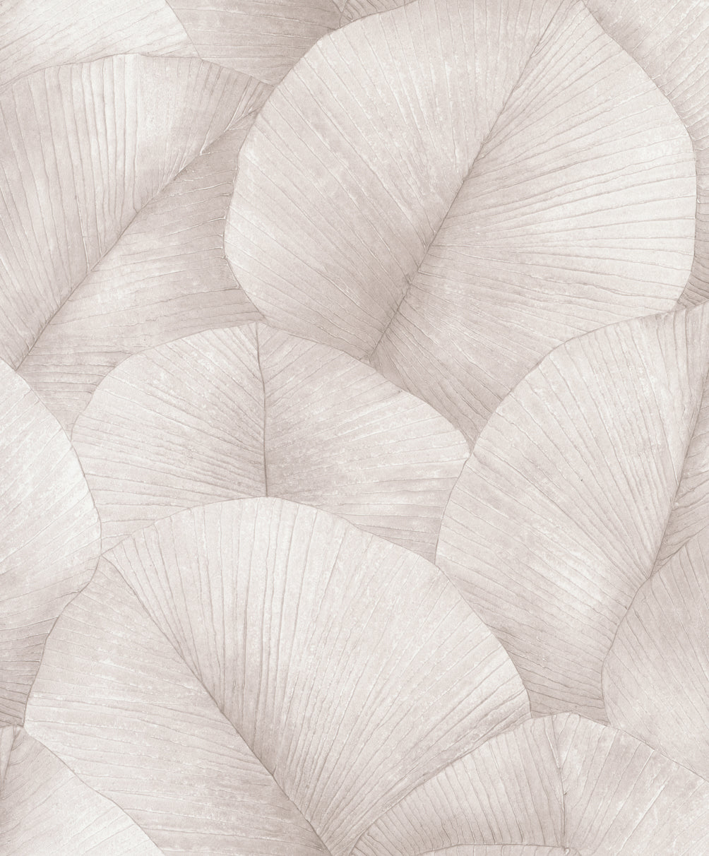 Tapet KUMANO-34511 /  Kumano