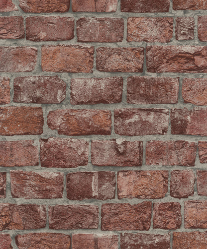 Tapet UP to DATE-34833 /  GZSZ