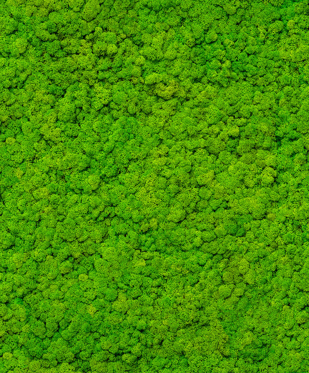 Tapet UP to DATE-34862 /  GZSZ