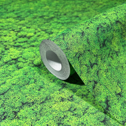 Tapet UP to DATE-34862 /  GZSZ