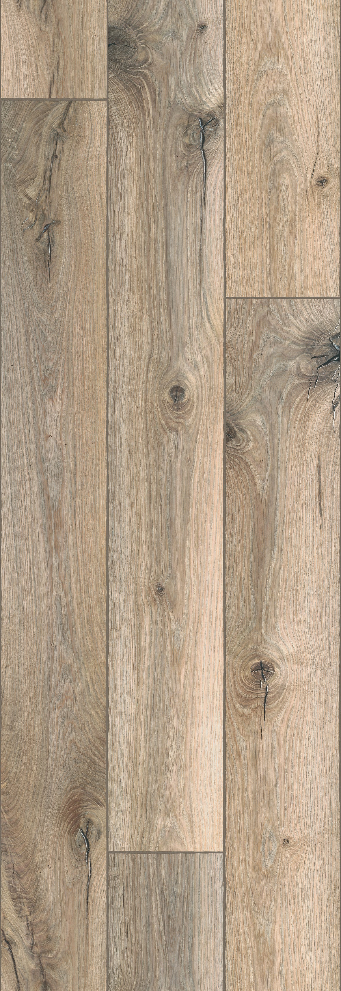 Tapet UP to DATE-34863 /  GZSZ