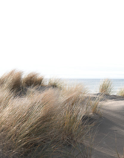 Tapet SMART ART PROFI-47219 /  Smart Art Easy