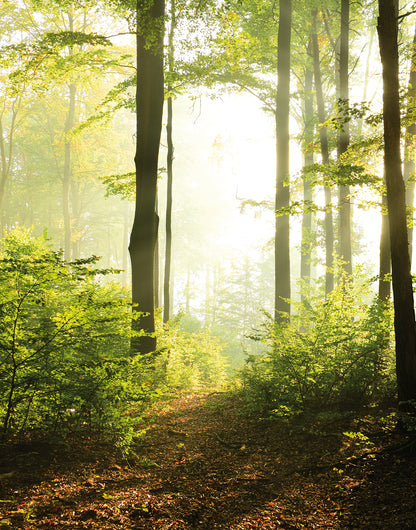 Tapet SMART ART PROFI-47221 /  Smart Art Easy