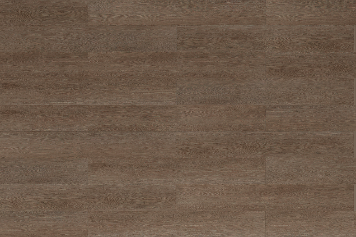 SPC WOOD  OAK Hazelnut  5RW 101 RMV205X244