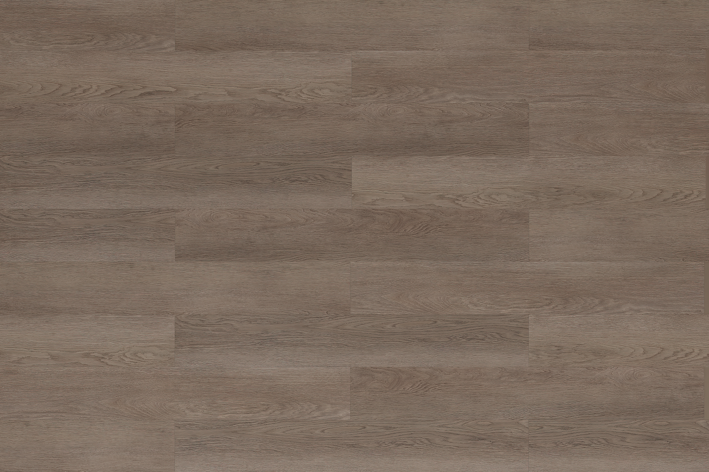 SPC WOOD  OAK Greige  5RW 102 RMV205X244