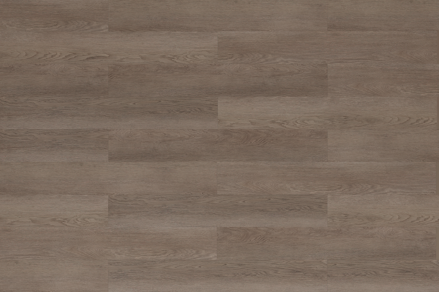 SPC WOOD  OAK Greige  5RW 102 RMV205X244