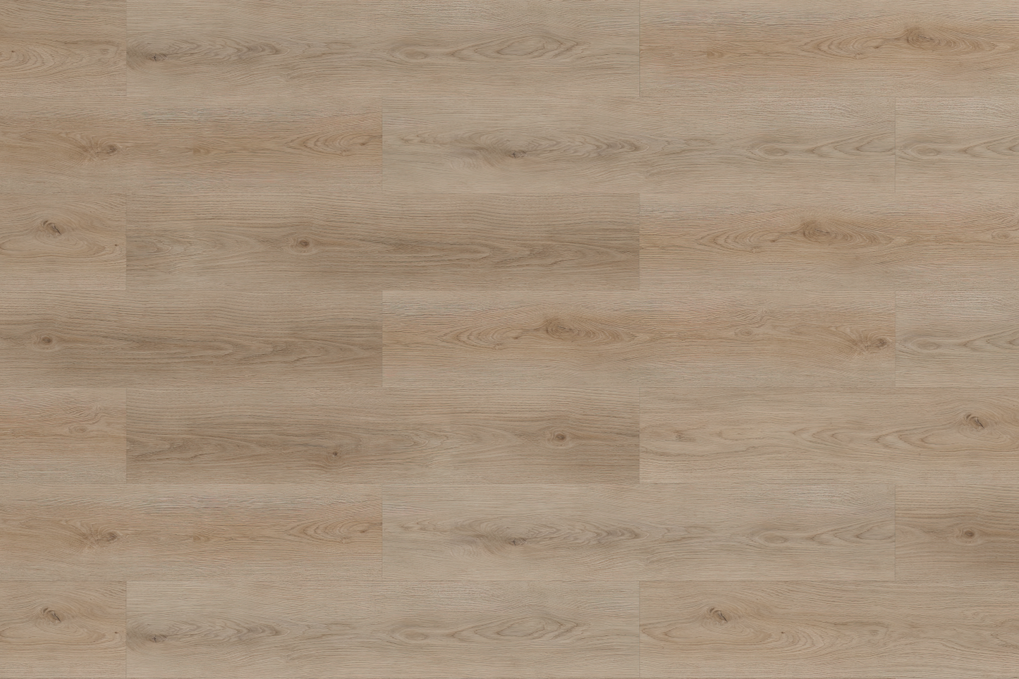 SPC WOOD OAK Cloud  6RW 409 RMV250X160