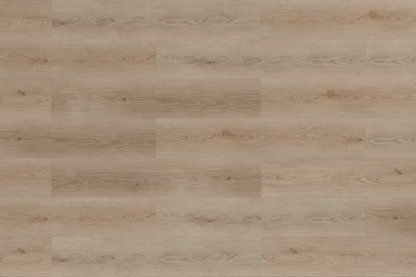 SPC WOOD OAK Cloud  6RW 409 RMV250X160