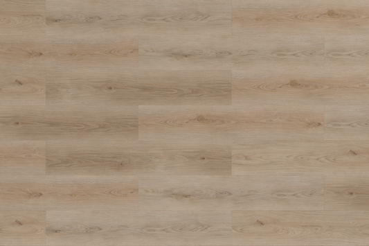 SPC WOOD OAK Cloud  6RW 409 RMV250X160