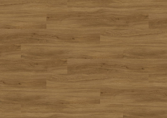 RMV183X243